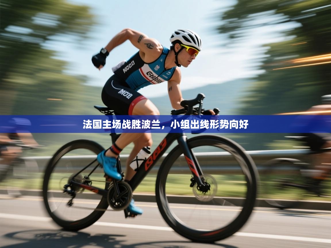 法国主场战胜波兰，小组出线形势向好  第1张