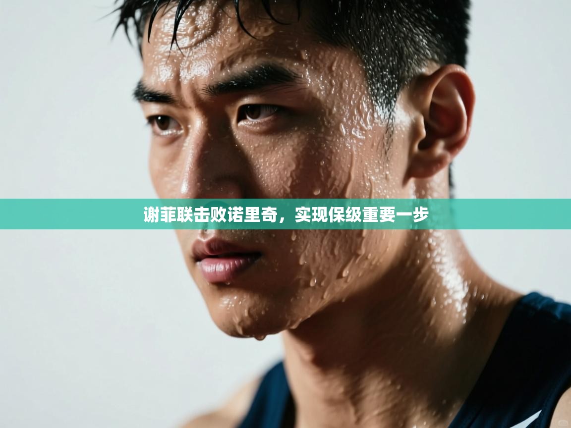 谢菲联击败诺里奇，实现保级重要一步  第2张