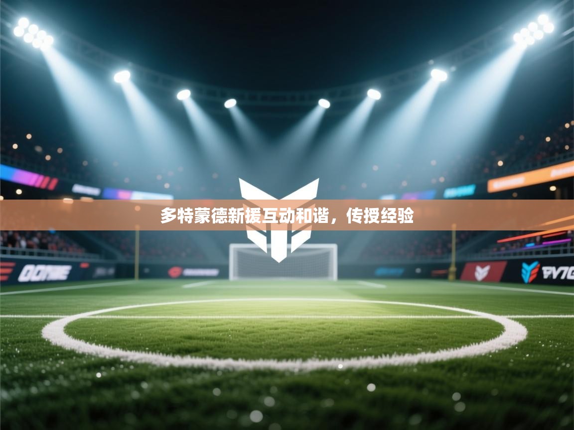 多特蒙德新援互动和谐,传授经验 第1张