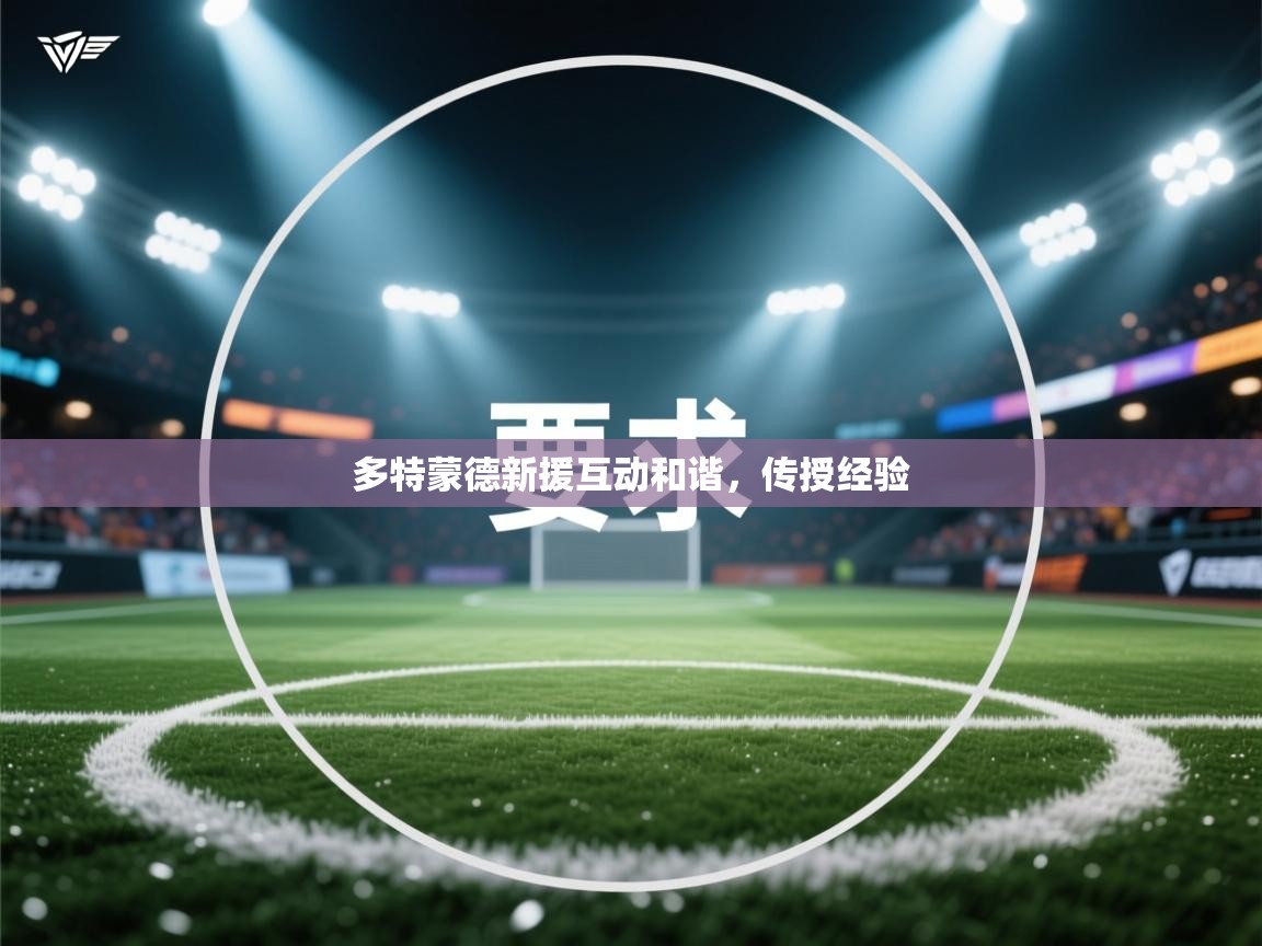 多特蒙德新援互动和谐,传授经验 第2张