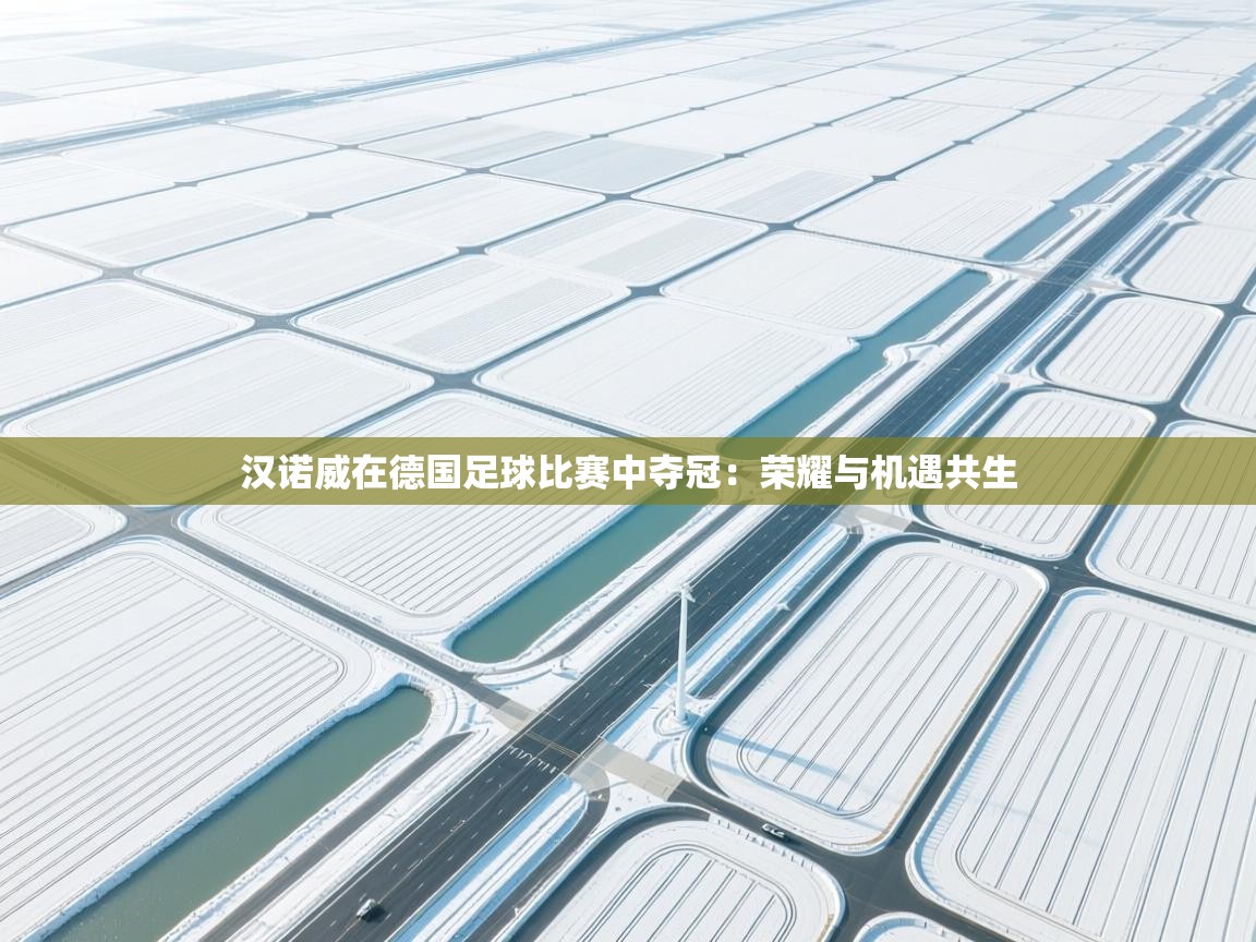 汉诺威在德国足球比赛中夺冠：荣耀与机遇共生